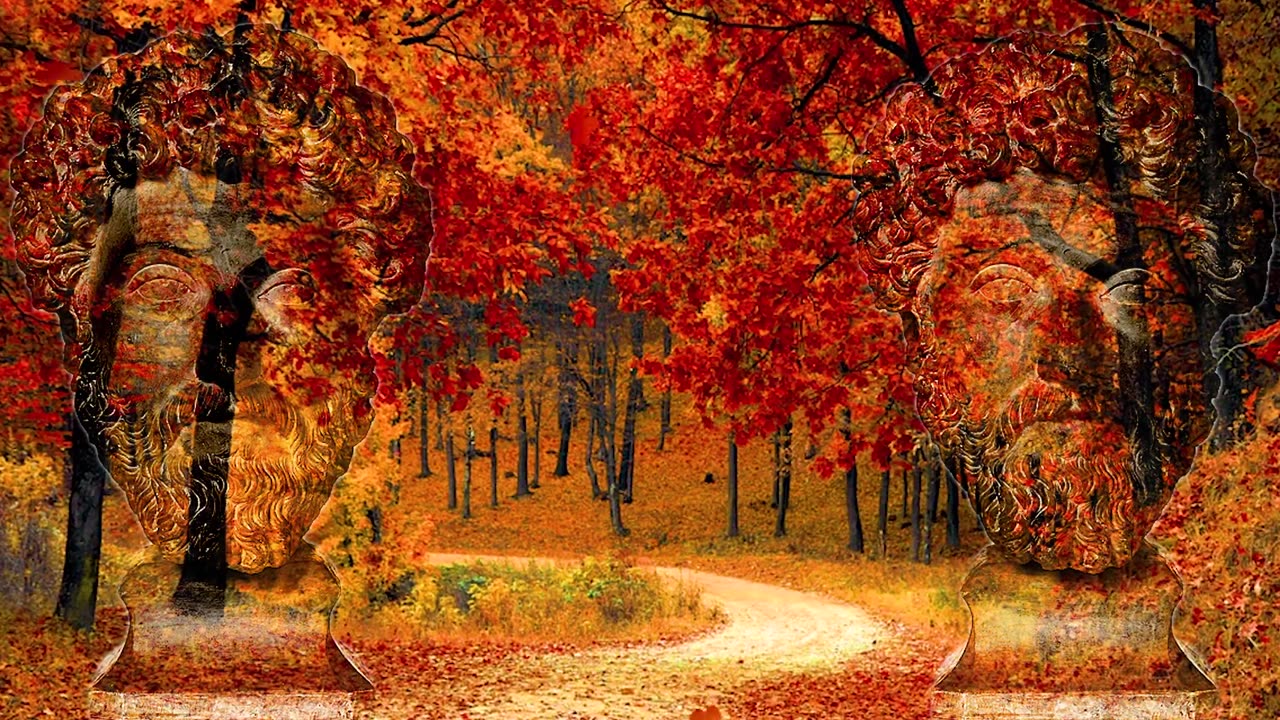 Hiw_to_control_the_Emotion_through_stoicism (path to live like free man)