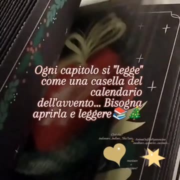 🎄Libro dell'avvento - Un Cuore per Natale❤️ di Sophie Jomain