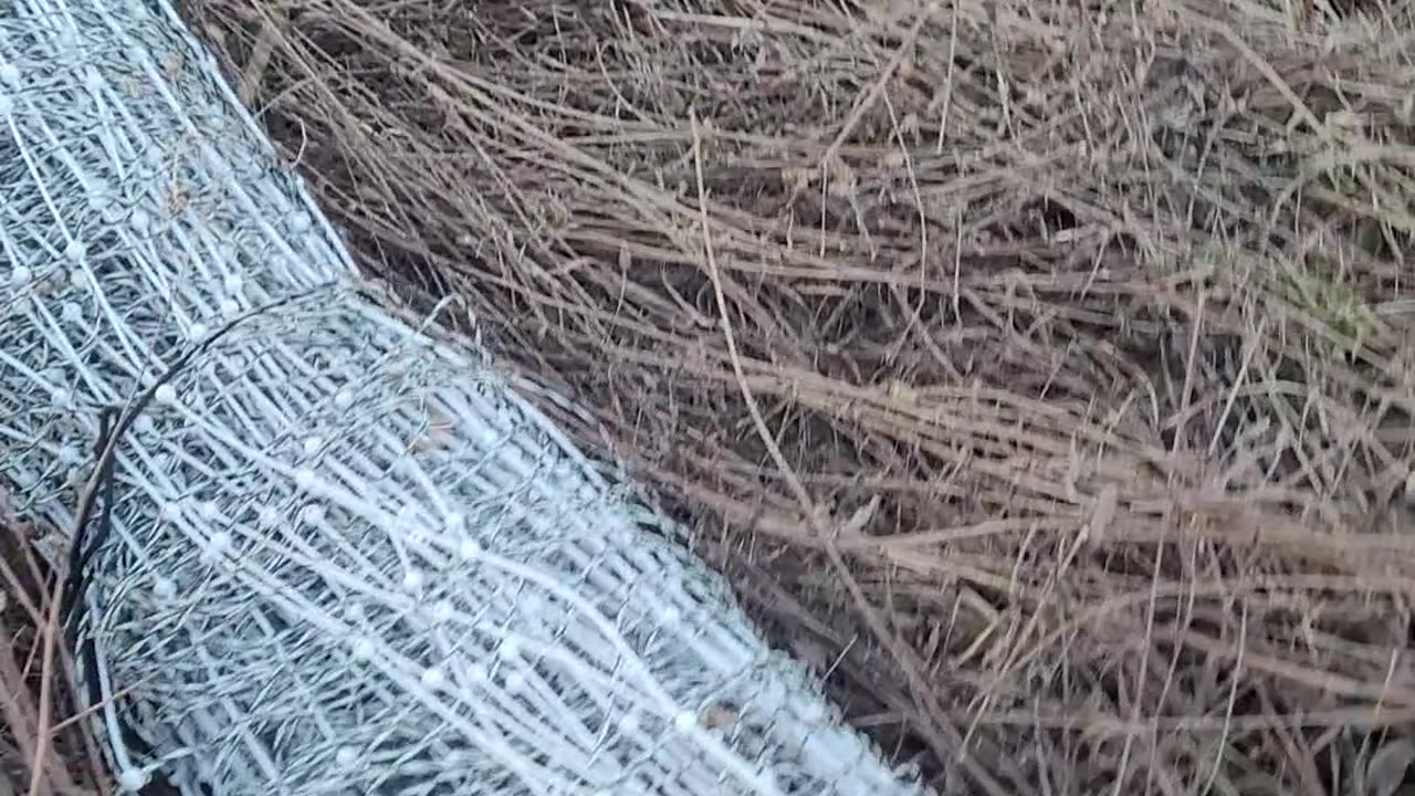 Everyday I'm fencing