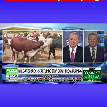 Bill Gates Backs Startup to Stop Cows From Burping