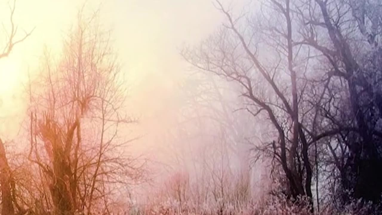 🔴 Relaxing Music 24/7, Sleep Music, Stress Relief Music, Spa, Meditation, Yoga, Zen, Sleeping Music