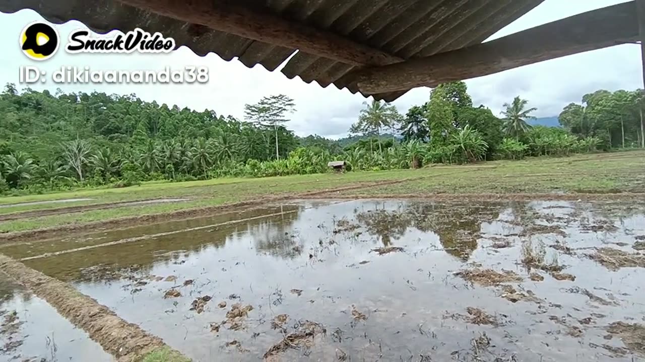 Car amazing