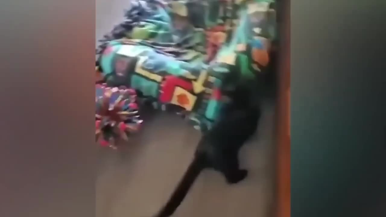 Dive into Our Hilarious Animal Moments! Try Not To Laugh Challenge!