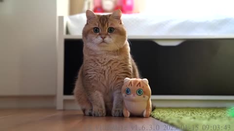 Mini Hosico Cuddle Plush