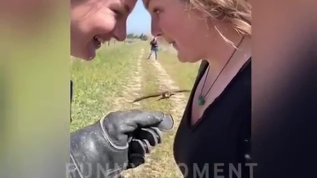 Best funny video
