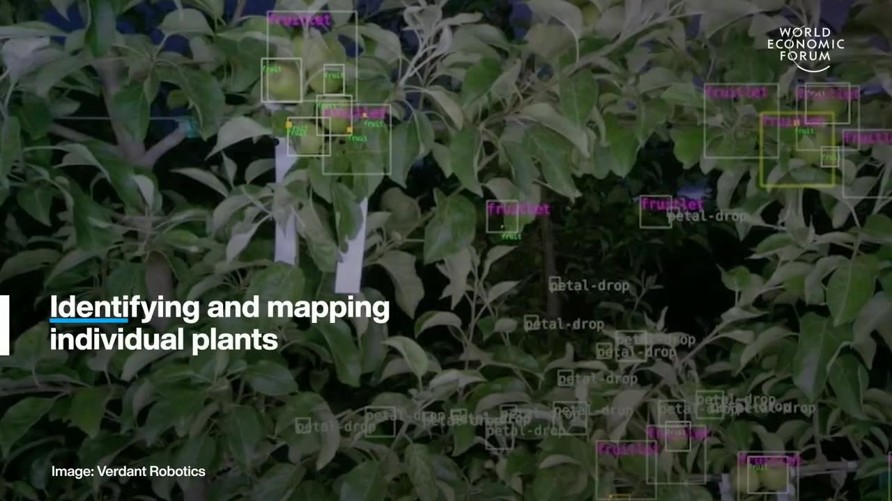 WEF | This AI robot is revolutionizing farming