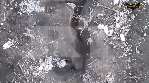 Heart-pounding footage captures close-quarters combat between Russian and Ukrainian troops