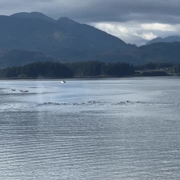 S2EP14: Whales in Alaska