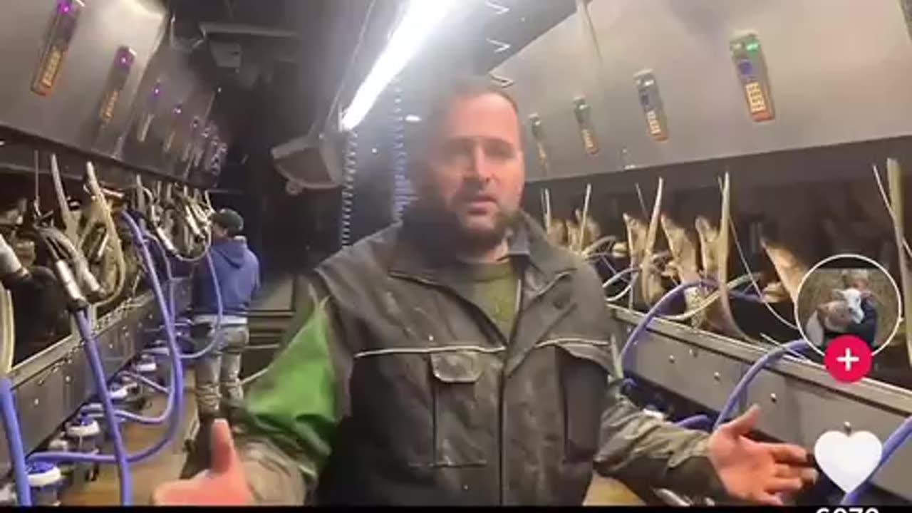 In Canada everything over their quota is thrown away.