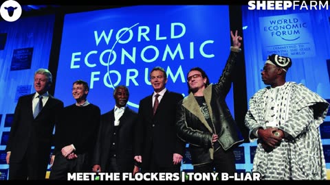 SF18 Meet the Flockers Sir Tony B-Liar (July 2021)