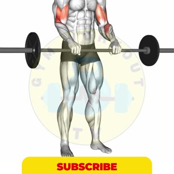 Barbell Biceps Blast #bodybuilding #bicep #shorts #barbellexercises