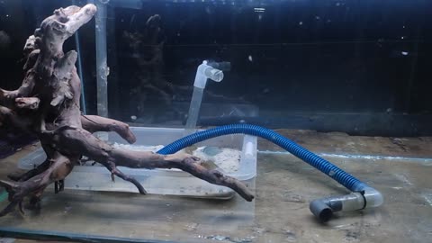 How To Make a Waterfall Forest Aquascape. Part 1