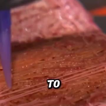 3-D Meat | Just another reason for having a personal relationship with your food sources
