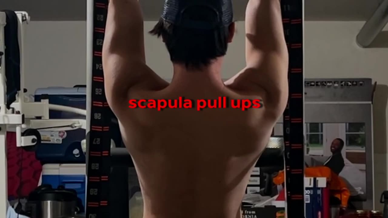 if you're serious about starting calisthenics, check out the link in the description