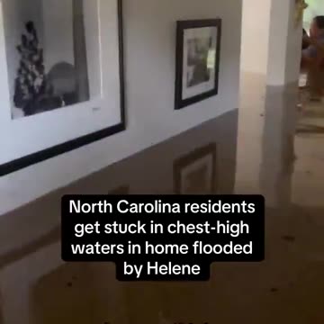 Waist high water in a home with people and pets