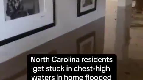 Waist high water in a home with people and pets