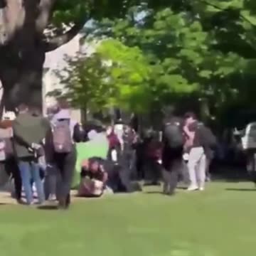 Meanwhile in Georgia at Emory College - They’re shooting them with rubber bullets