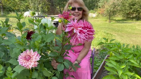 Dahlia Tour September 2024 - Ultimate Flower Paradise!