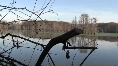 OPENING DAY! ARKANSAS Duck HUNTING!!