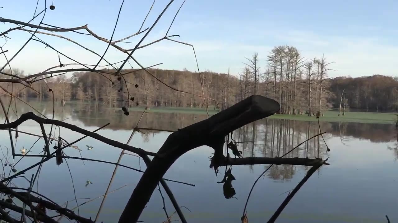 OPENING DAY! ARKANSAS Duck HUNTING!!