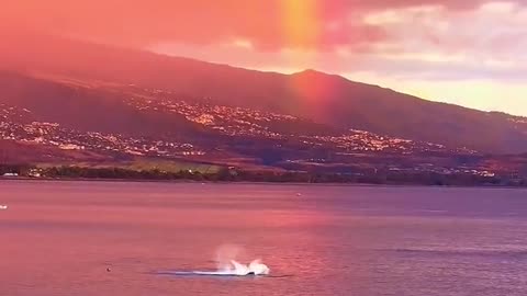 Ha teak hn is there 😄 you want to be careful not