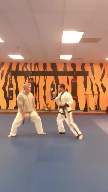 Tong Hap Kwan Hoshinsul