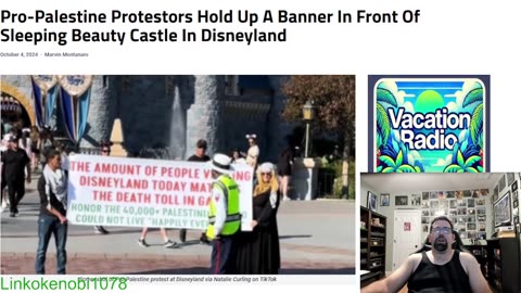 Palestine Protesters Pulling Out A Banner In Disneyland