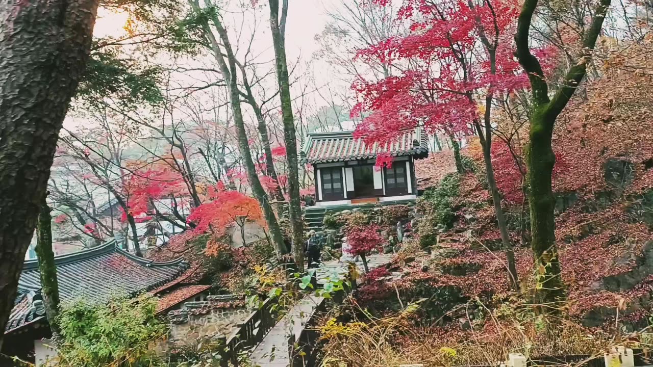 Travel) Traditional place in Korea, call Gil-sang-sa in Seoul.서울 성북구 길상사.