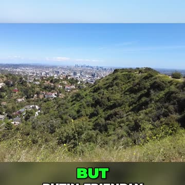 The Rise of Putin-Friendly Populist Parties Impact on Europe's Political Landscape