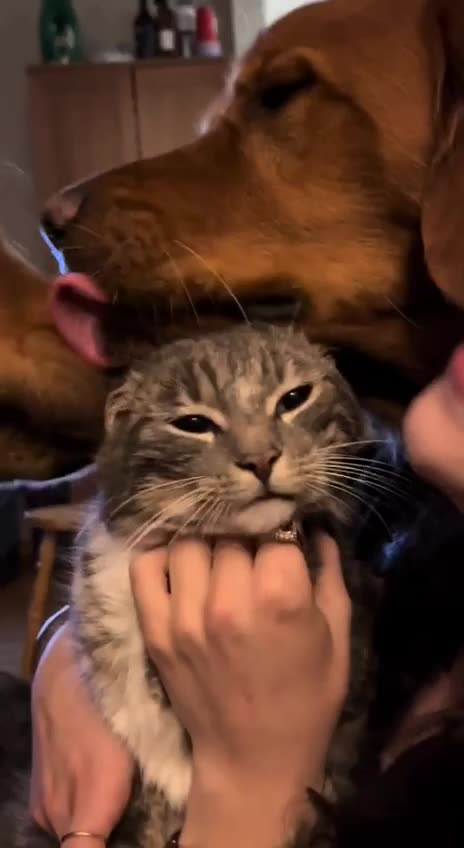 When you are just so darn loveable 😂