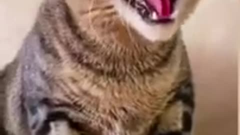 😄😄😄