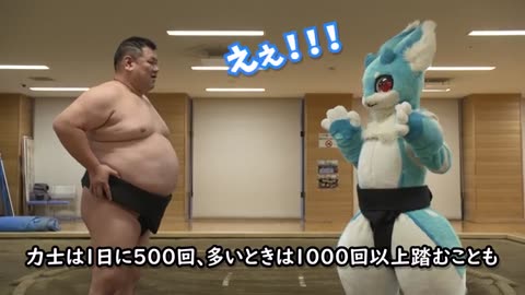 FURSUIT SUMO WRESTLER!!