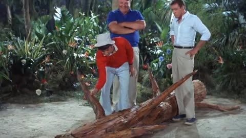 Giliilgan's island gilligan's super strength