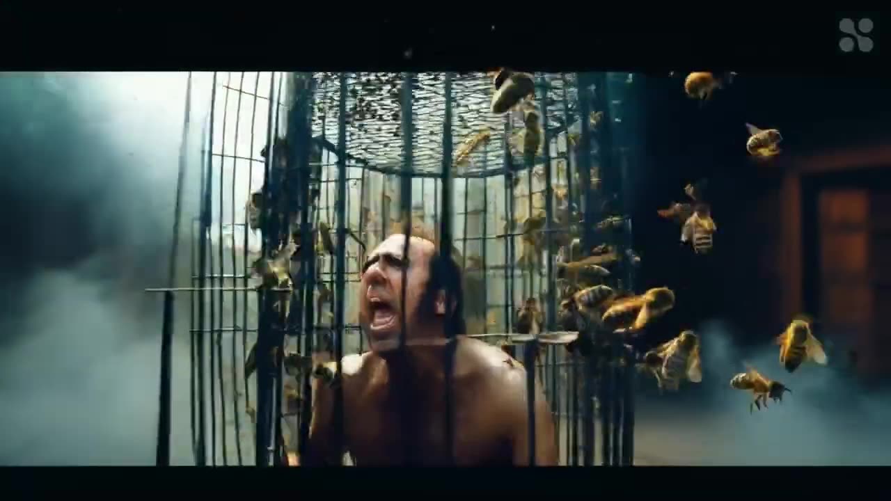 Nicolas Cage in a Cage ai 2024