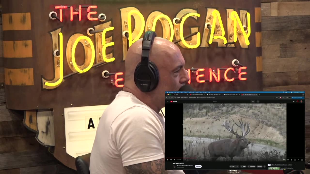 Joe Rogan Experience #2158 - Harland Williams