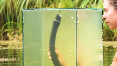 Build a DIY Fish Tower In a Pond!