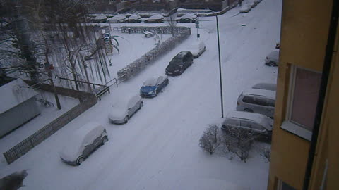 Vintarn är tillbaka. Visitörsg. 13 Helsingborg 13 Mars 2013