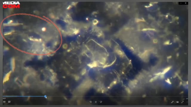 Self Assembling Tech Found in Vax