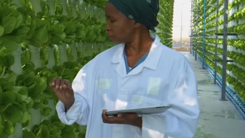 Farm To Table: How This Family Is Cultivating A Flourishing Garden – And Enjoying Every Moment