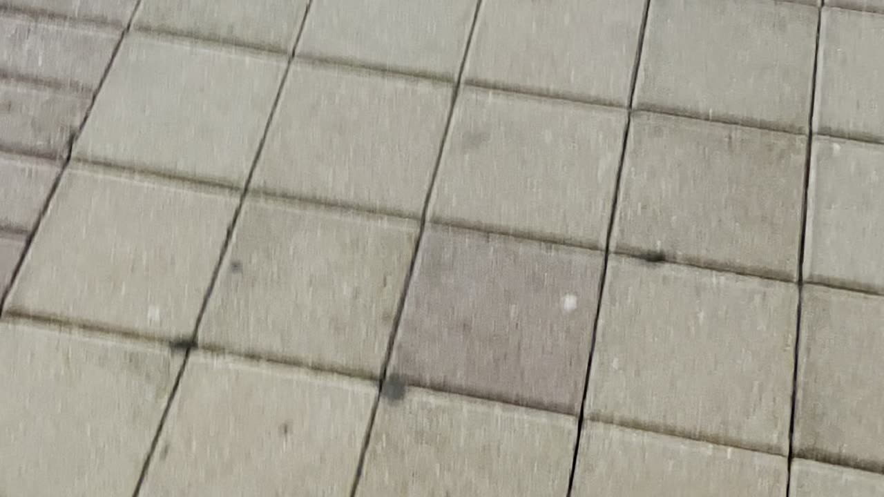A tour of Centro Ybor