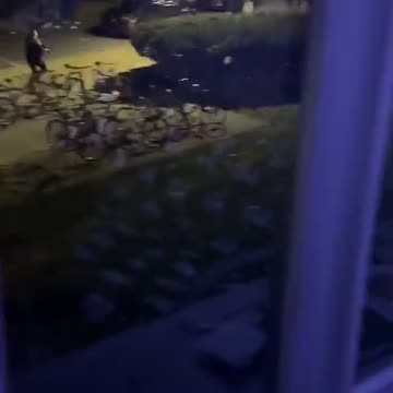 Chaotic scenes at Michigan State University as heavily-armed police search for active shooter