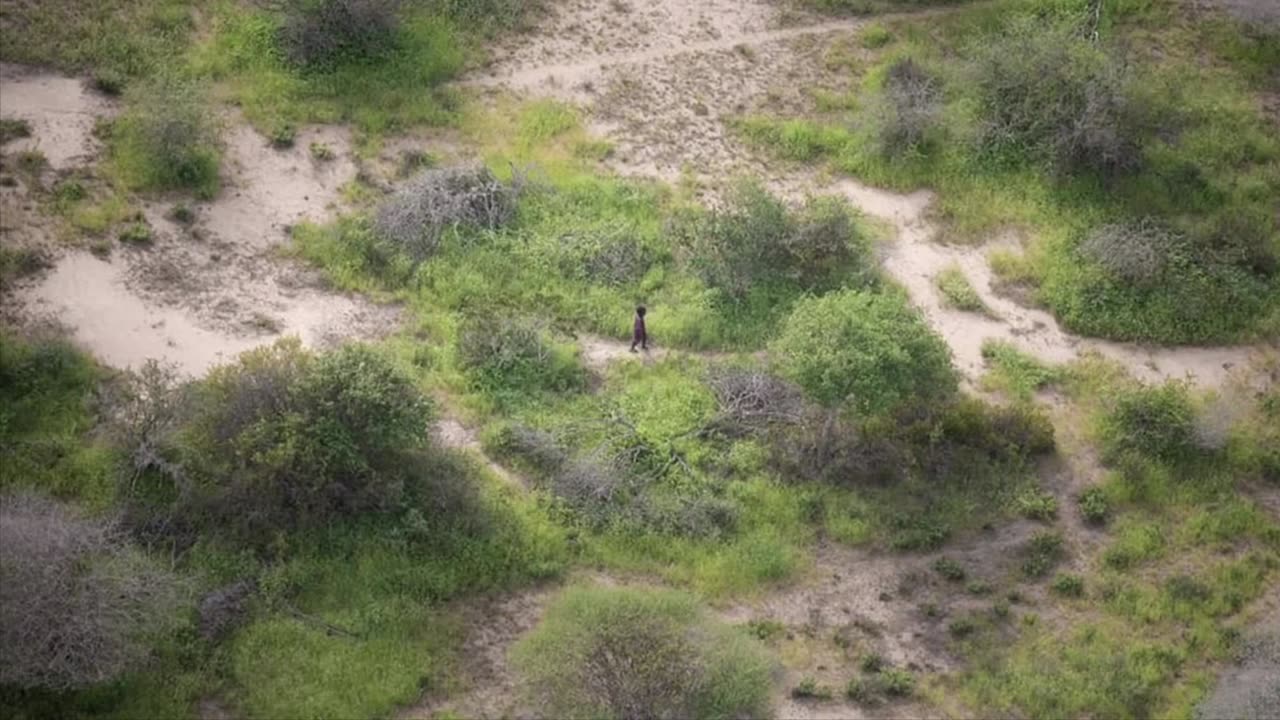 Perdido na selva de hienas com apenas 4 anos