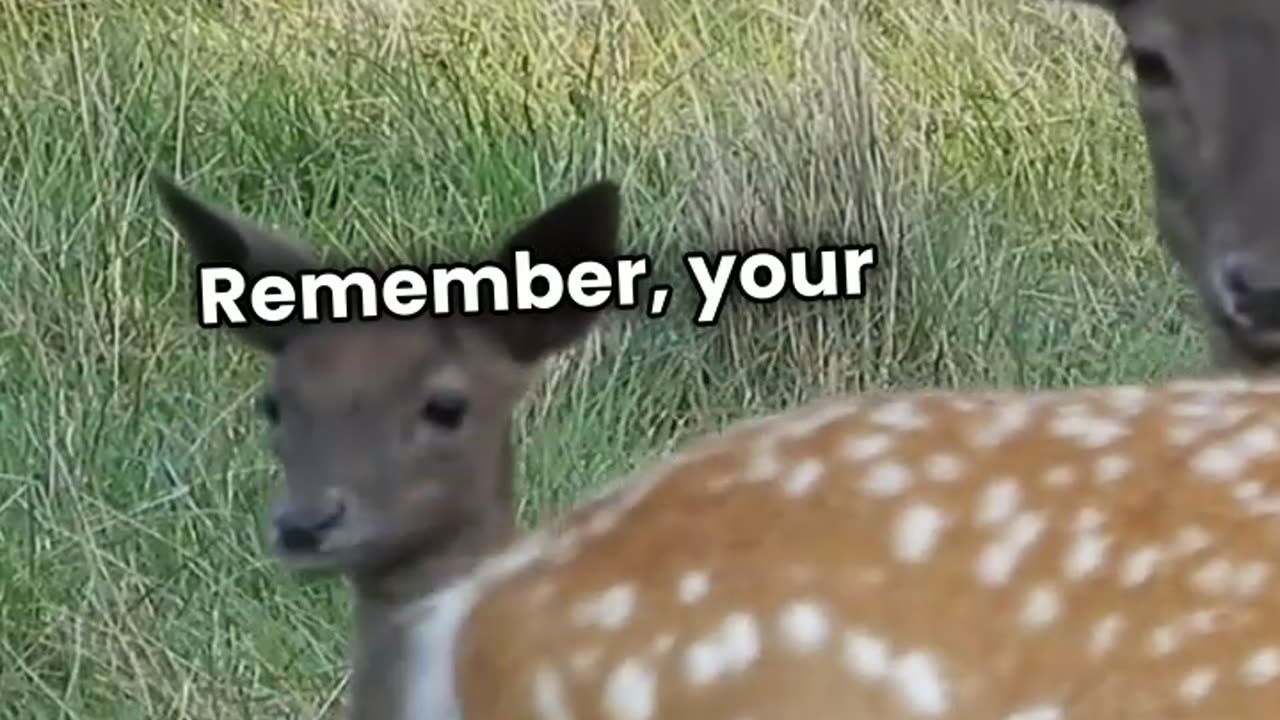 motivational