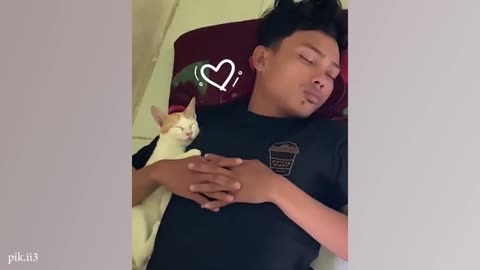 When Your Cat Becomes the Teacher's Assistant! 😂