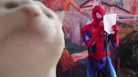 SPIDERMAN SPEAKS JAPANESE