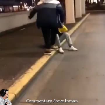 Steve Inman - The Art of Soy