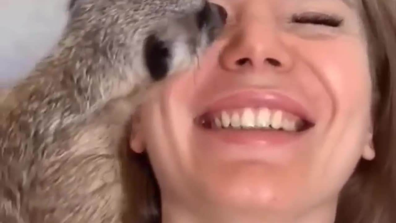 Cute baby animals Videos Compilation cute moment of the animals #17
