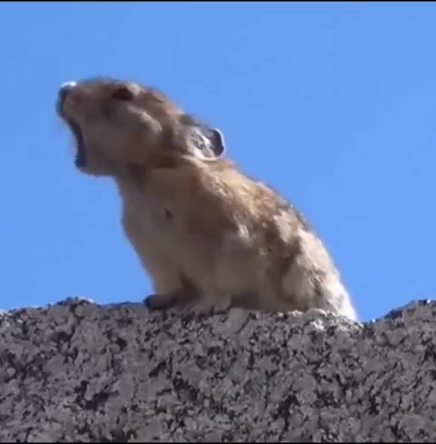 Perfect editing! ( Sound on )