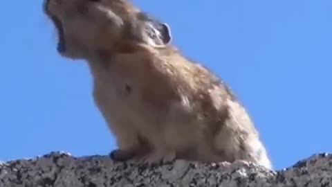 Perfect editing! ( Sound on )