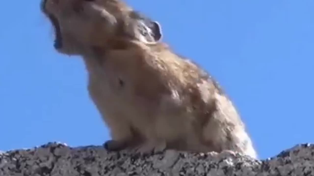 Perfect editing! ( Sound on )